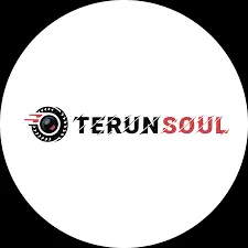 Terunsoul